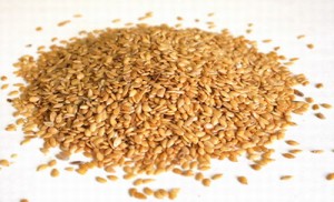 farinha-de-linhaça-dourada-semente